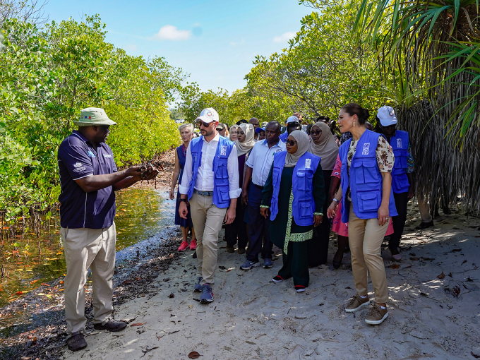 På synfaring i mangroveskogane ved Gazi. Her blir det planta om lag 2000 nye mangroveskot kvart år. Foto: Lise Åserud / NTB